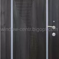 Вхідні металеві двері (зразок 123)