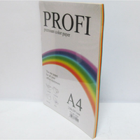 Набір кольорового паперу PROFI А4/80г 10цв. * 10л